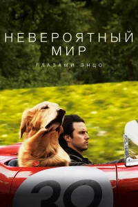  Невероятный мир глазами Энцо  2019