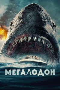  Мегалодон  2023