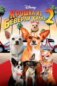  Крошка из Беверли-Хиллз 2  2010