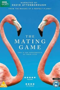(2021)