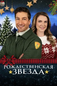  Рождественская звезда  2021