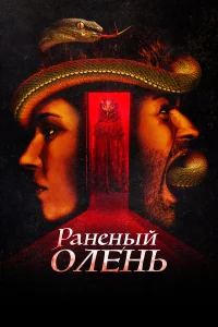  Раненый оленёнок  2022