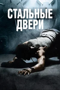  Стальные двери  2010