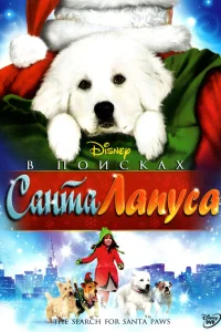  В поисках Санта Лапуса  2010