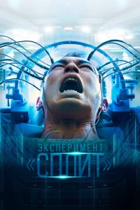  Множество  2021