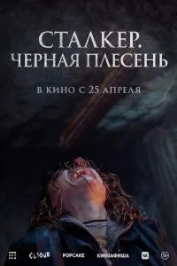  Сталкер. Черная плесень  2023