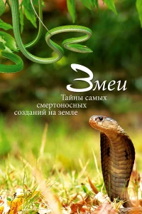  Змеи. Тайны самых смертоносных созданий на земле  2014