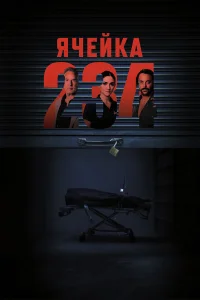  Ячейка 234  2023
