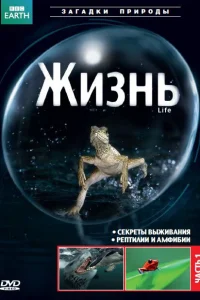  BBC: Жизнь  2009