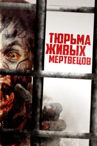  День 0  2022
