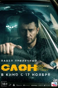  Слон  2022