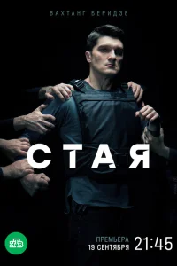  Стая  2022
