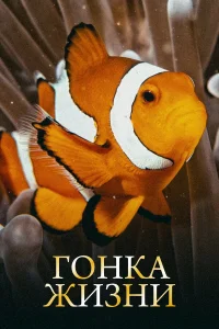  Гонка жизни  2015