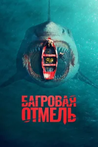 Багровая отмель  2025