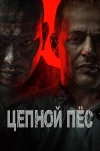  Цепной пёс  2024