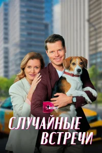  Случайные встречи  2023