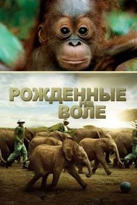  Рожденные на воле  2011