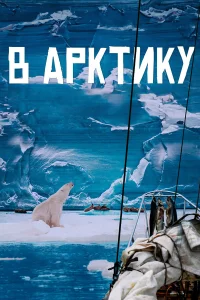  В Арктику  2023