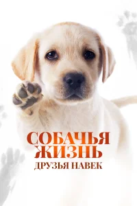  Собачья жизнь: Друзья навек  2023