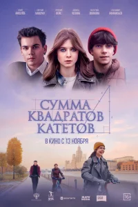  Сумма квадратов катетов  2025