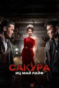  Сакура  2024