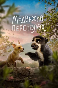  Медвежий переполох  2023