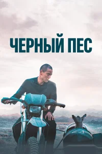  Чёрный пёс  2024