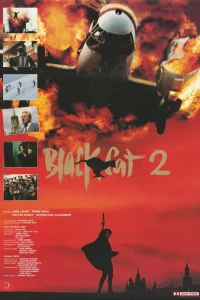  Черная кошка 2  1992