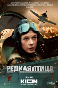  Редкая птица  2024