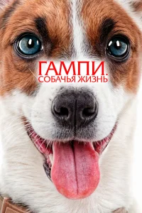  Гампи. Собачья жизнь  2024