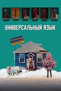  Универсальный язык  2024