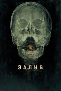  Залив  2012
