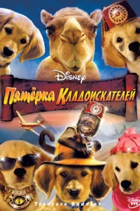  Пятерка кладоискателей  2012