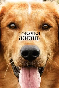  Собачья жизнь  2017