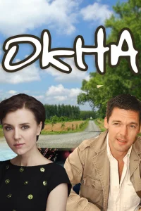  Окна  2009