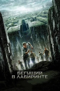  Бегущий в лабиринте  2014