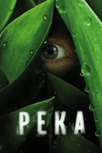 Река  2012