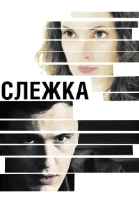  Слежка  2012