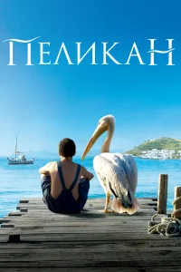  Пеликан  2011