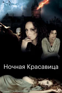  Ночная красавица  2013