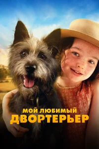  Мой любимый двортерьер  2024