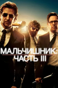  Мальчишник: Часть III  2013