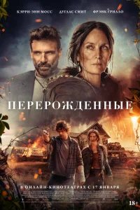  Спящая  2024