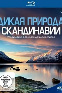  Дикая природа Скандинавии  2011