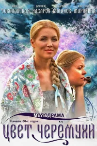  Цвет черемухи  2012