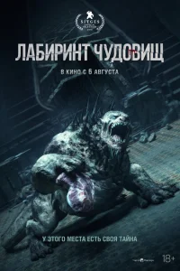  Ночная тишина  2024