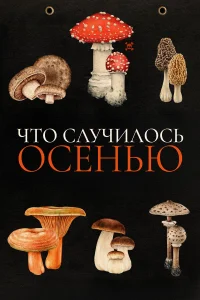  Что случилось осенью  2024