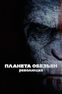  Планета обезьян: Революция  2014
