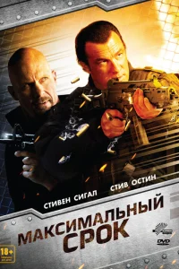  Максимальный срок  2012