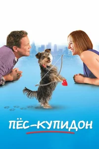  Пес-купидон  2012